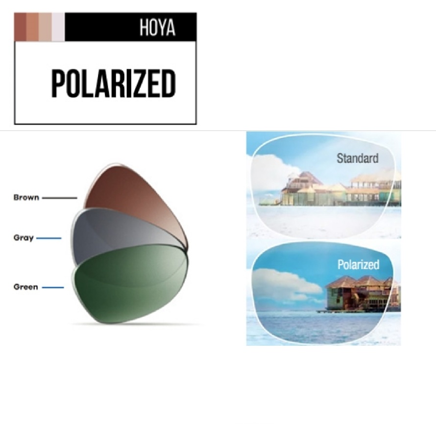 HOYA polariserande glas