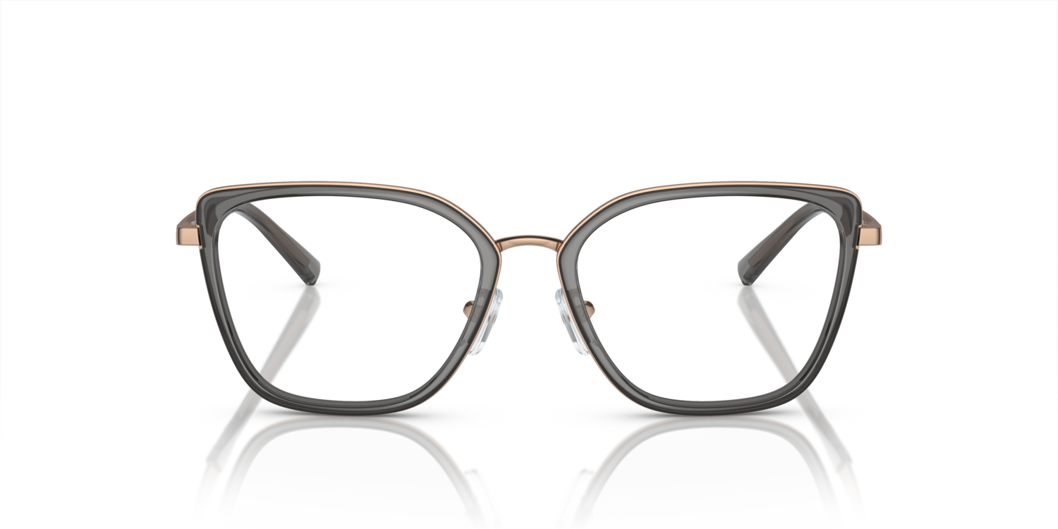 Glasögonbåge Emporio-Armani EA1152