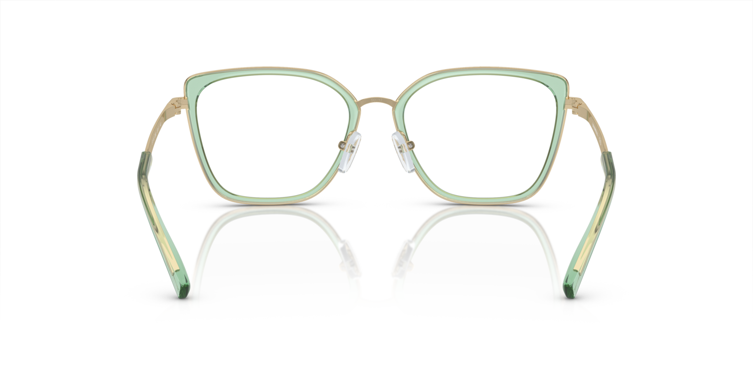 Glasögonbåge Emporio-Armani EA1152