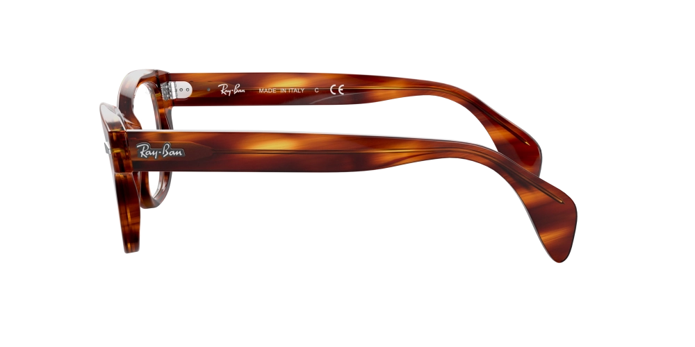 Glasögonbåge Ray-Ban 0RX0880